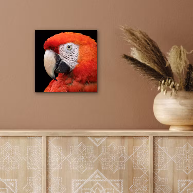 Ara - Portret - Rood aluminium wit klein -sfeer4