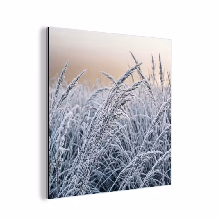 Rijp - Gras - Kristallen - Winter - Minimalistisch aluminium wit klein -3d