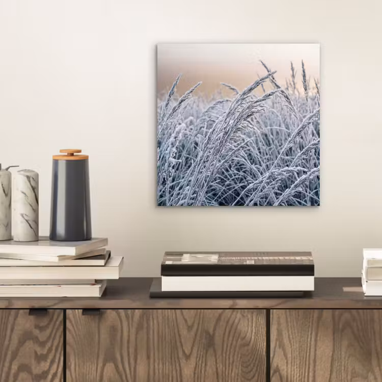 Rijp - Gras - Kristallen - Winter - Minimalistisch aluminium wit klein -sfeer1