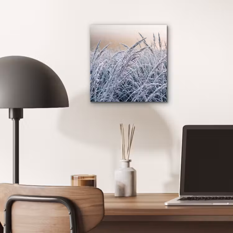Rijp - Gras - Kristallen - Winter - Minimalistisch aluminium wit klein -sfeer5