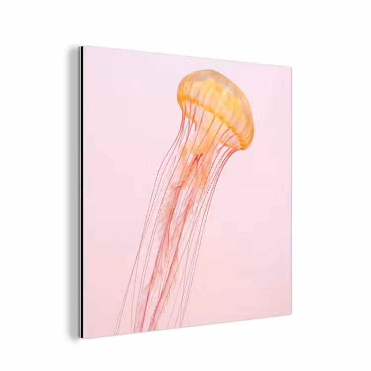 Sierlijk - Kwal - Roze aluminium wit klein -3d