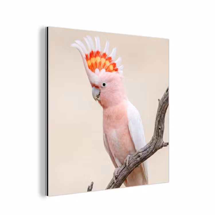 Papagaai - Tak - Roze aluminium wit klein -3d