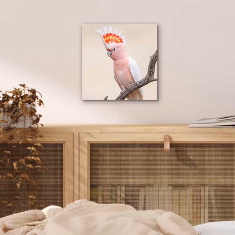 Papagaai - Tak - Roze aluminium wit klein -sfeer3