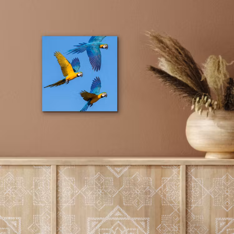 Papagaai - Vliegen - Blauw - Geel aluminium wit klein -sfeer4