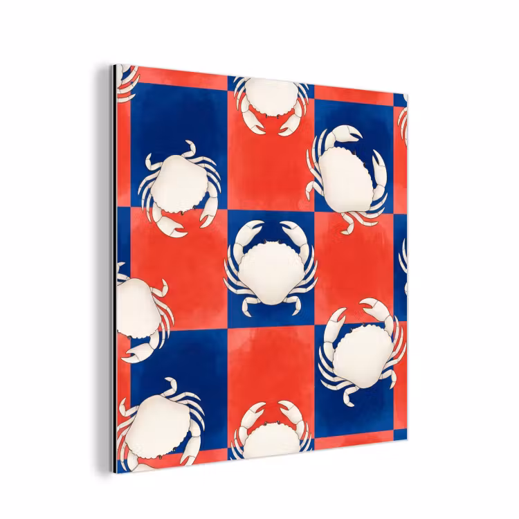 Patroon - Zeeleven - Rood - Blauw - Abstract aluminium wit klein -3d