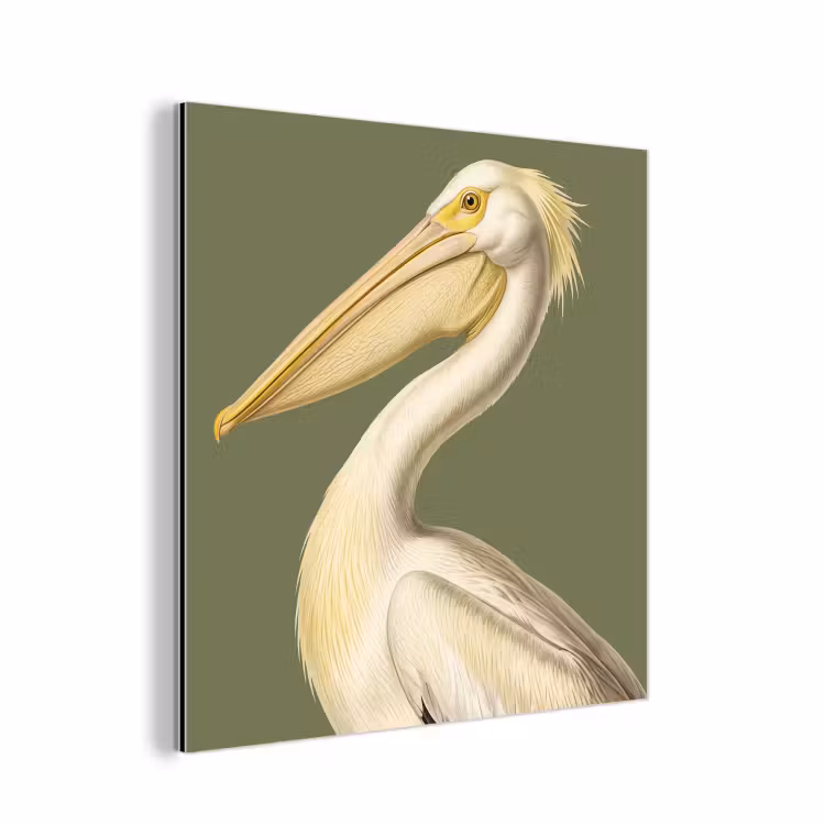 Pelikaan - Wit - Vogel - Klassiek - Natuur aluminium wit klein -3d