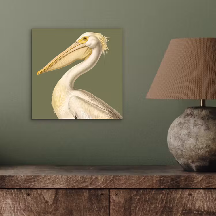 Pelikaan - Wit - Vogel - Klassiek - Natuur aluminium wit klein -sfeer2