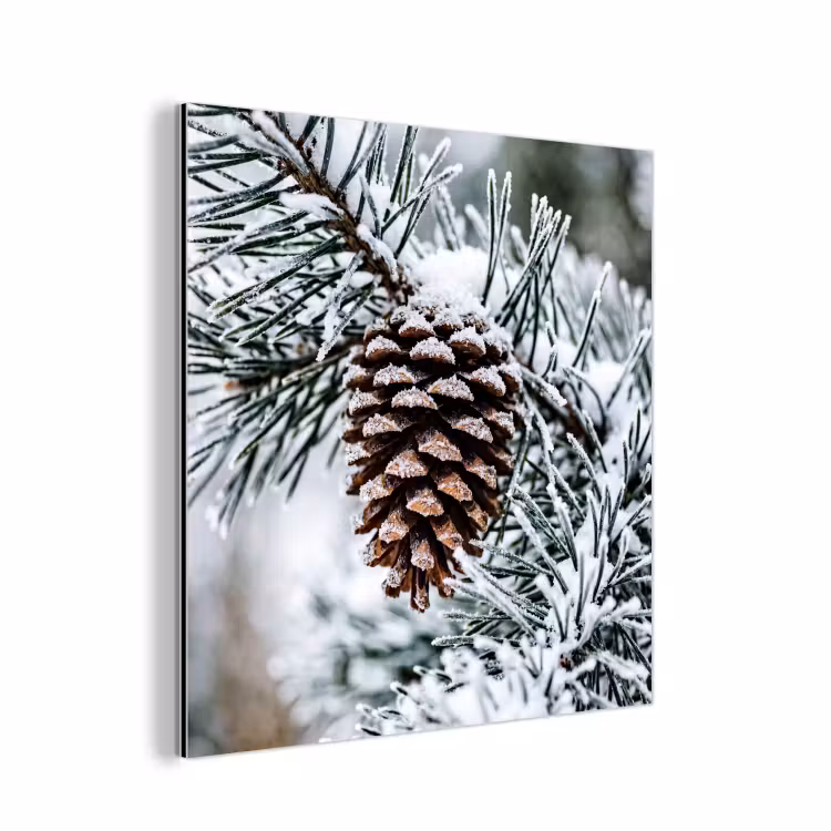 Dennenappel - Tak - Sneeuw - Winter - Sfeervol aluminium wit klein -3d