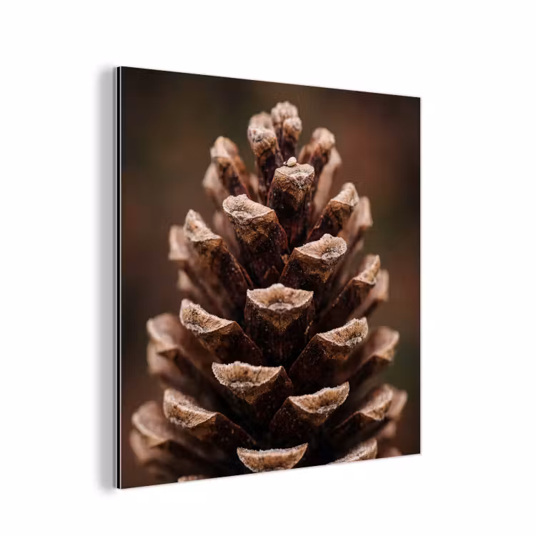 Dennenappel - Bos - Herfst - Bruin - Sfeervol aluminium wit klein -3d