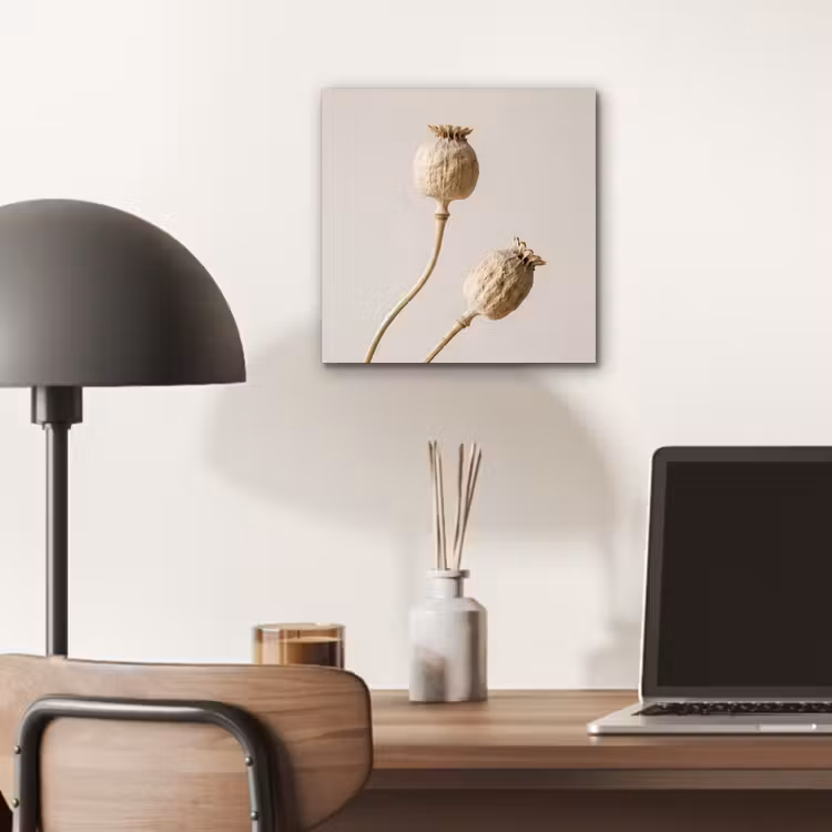Papaverbollen - Droogbloemen - Minimalistisch - Beige - Rustig aluminium wit klein -sfeer5