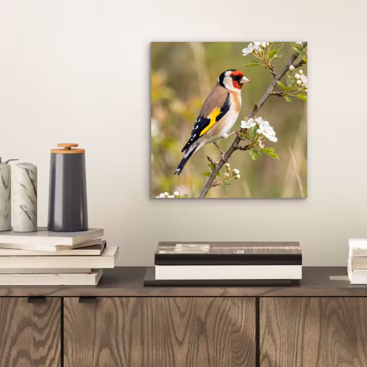 Putter - Bloesem - Lente - Natuur - Kleurrijk aluminium wit klein -sfeer1
