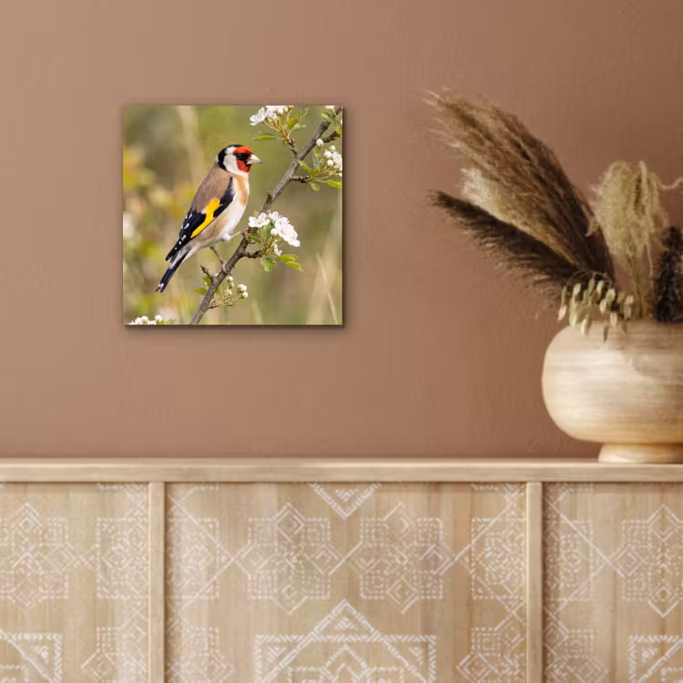 Putter - Bloesem - Lente - Natuur - Kleurrijk aluminium wit klein -sfeer4