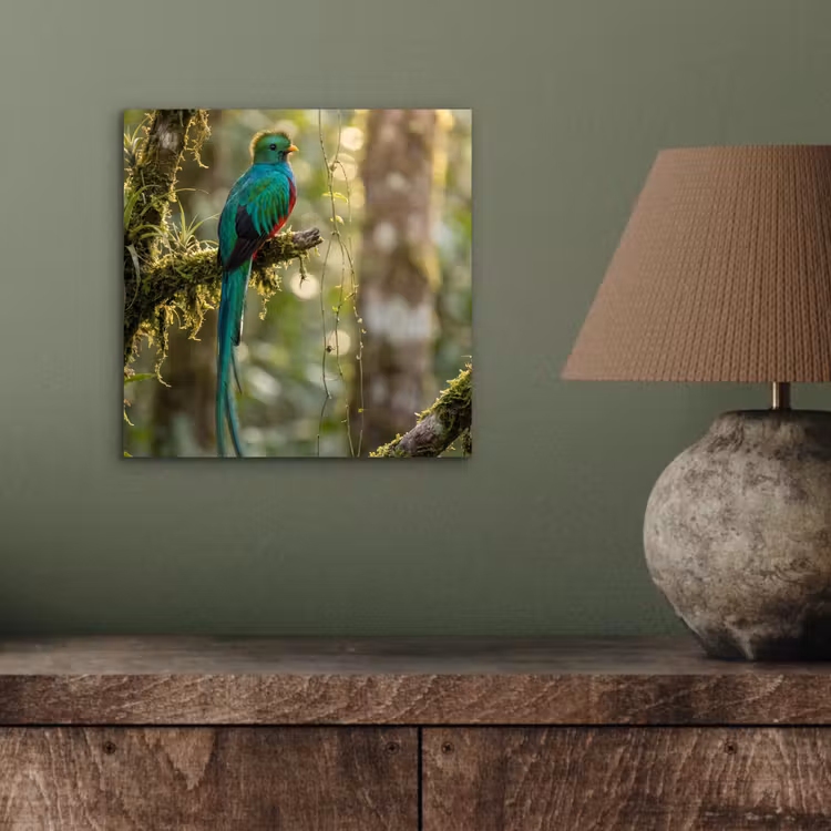 Quetzal - Jungle - Natuur - Groen aluminium wit klein -sfeer2