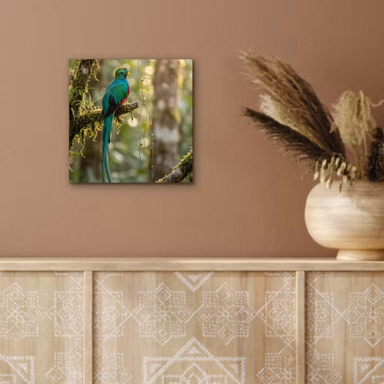 Quetzal - Jungle - Natuur - Groen aluminium wit klein -sfeer4