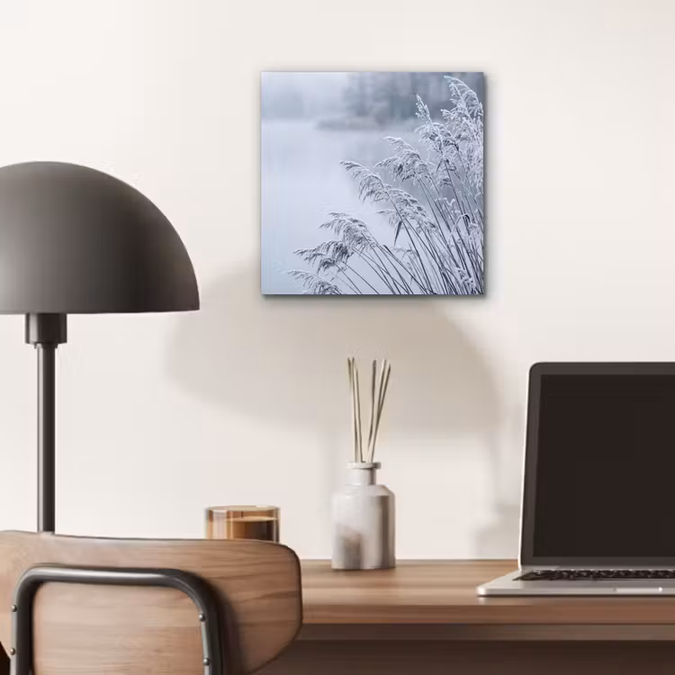Riet - Bevroren - Winter - Natuur aluminium wit klein -sfeer5