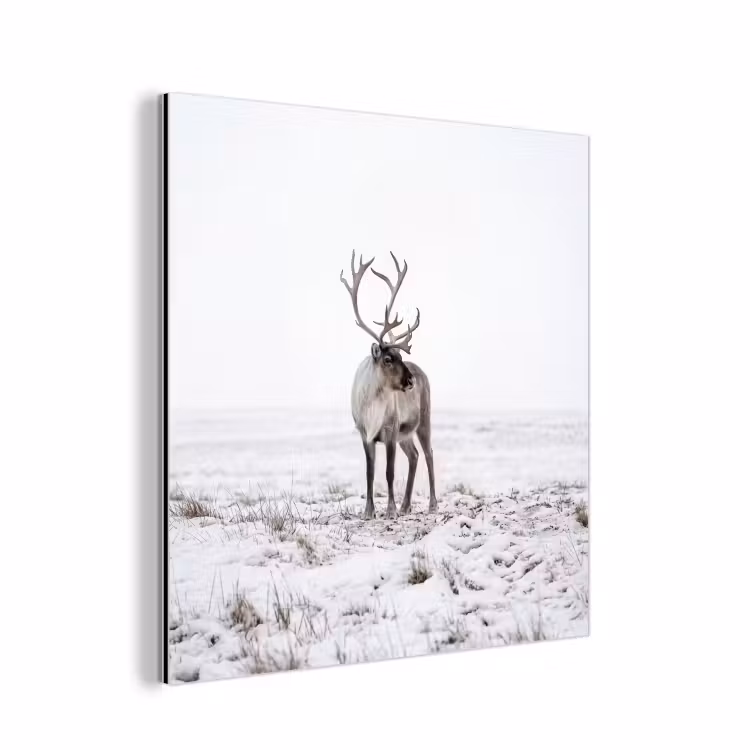 Rendier - Gewei - Sneeuw - Winter aluminium wit klein -3d