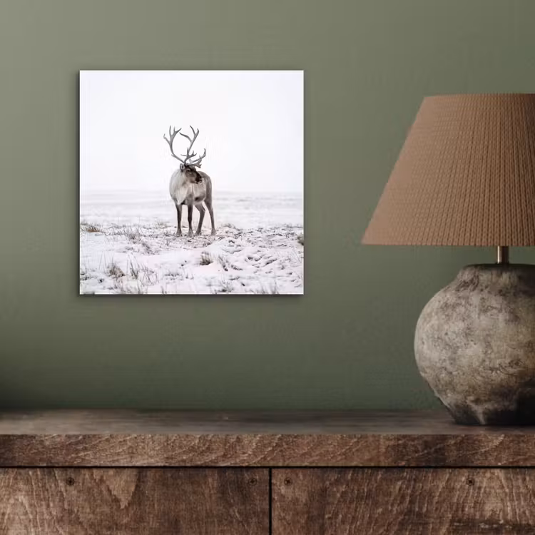 Rendier - Gewei - Sneeuw - Winter aluminium wit klein -sfeer2