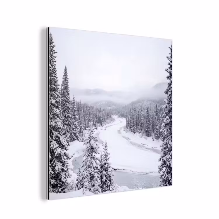 Rivier - Bevroren - Landschap - Winter aluminium wit klein -3d