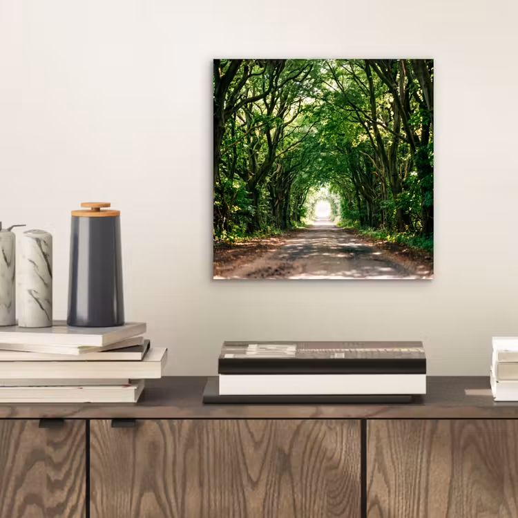 Weg - Bomen - Natuur - Groen aluminium wit klein -sfeer1