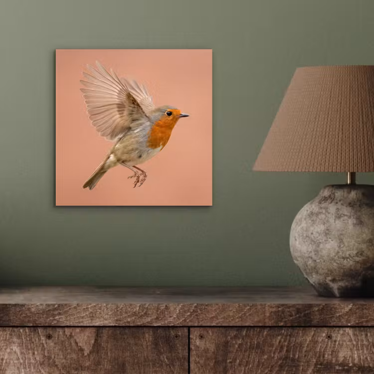 Roodborst - Natuur - Roze aluminium wit klein -sfeer2