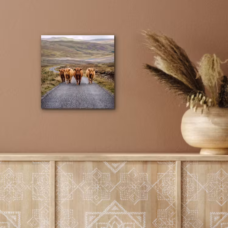Schotse Hooglanders - Weg - Landschap - Kudde aluminium wit klein -sfeer4