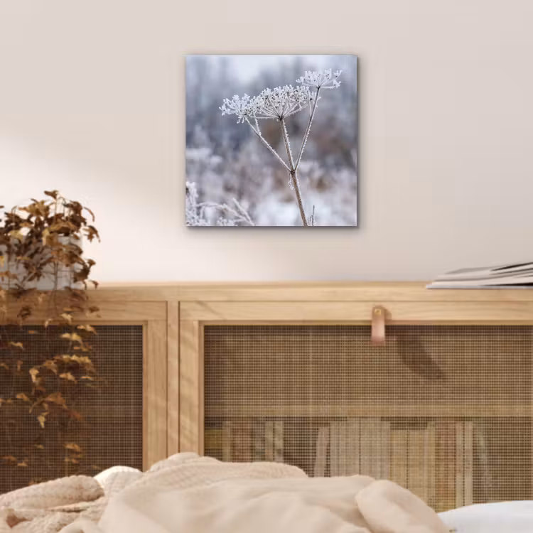 Schermbloem - Rijp - Kristallen - Winter - Delicaat aluminium wit klein -sfeer3
