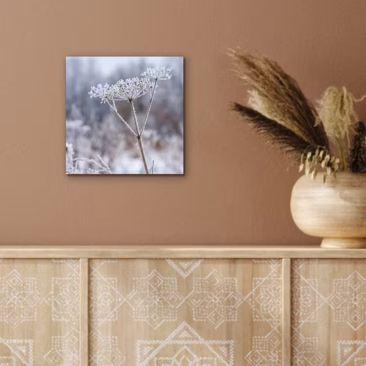 Schermbloem - Rijp - Kristallen - Winter - Delicaat aluminium wit klein -sfeer4