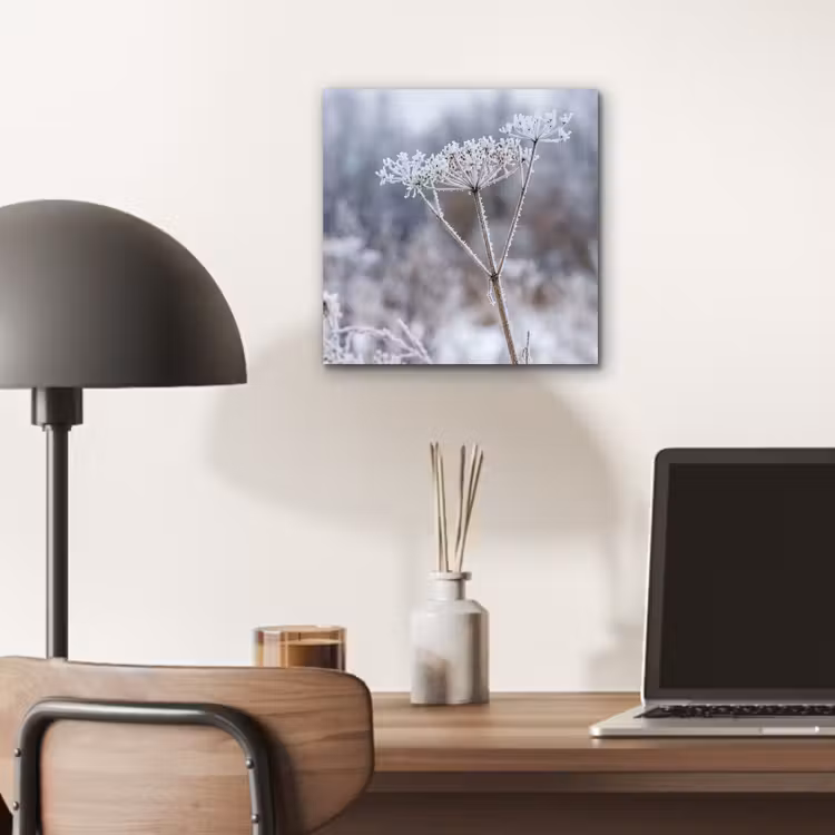 Schermbloem - Rijp - Kristallen - Winter - Delicaat aluminium wit klein -sfeer5