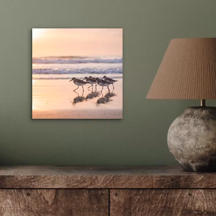 Zee - Vogels - Strand aluminium wit klein -sfeer2