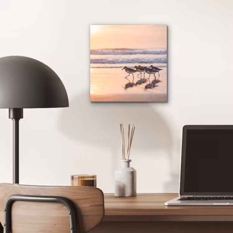 Zee - Vogels - Strand aluminium wit klein -sfeer5