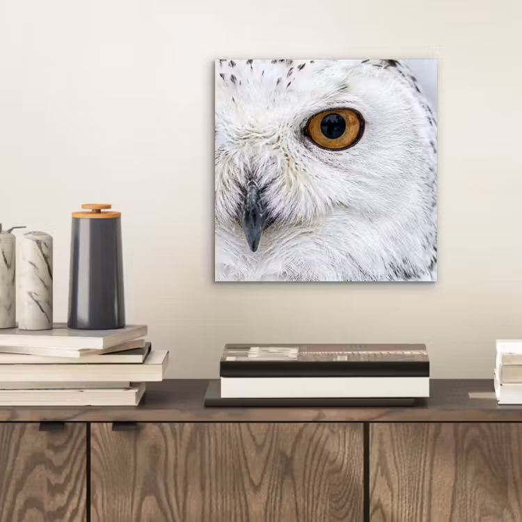 Sneeuwuil - Oog - Wildlife - Wit aluminium wit klein -sfeer1