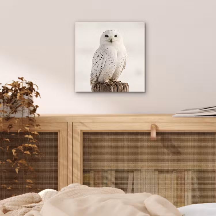 Sneeuwuil - Paal - Winter - Portret - Majestueus aluminium wit klein -sfeer3