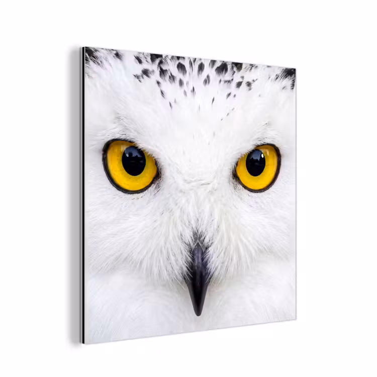 Sneeuwuil - Portret - Geel aluminium wit klein -3d