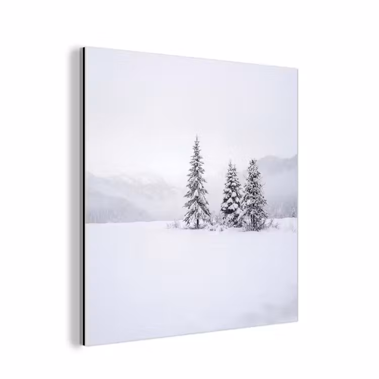 Fijnsparren - Sneeuw - Winter - Landschap - Stilte aluminium wit klein -3d