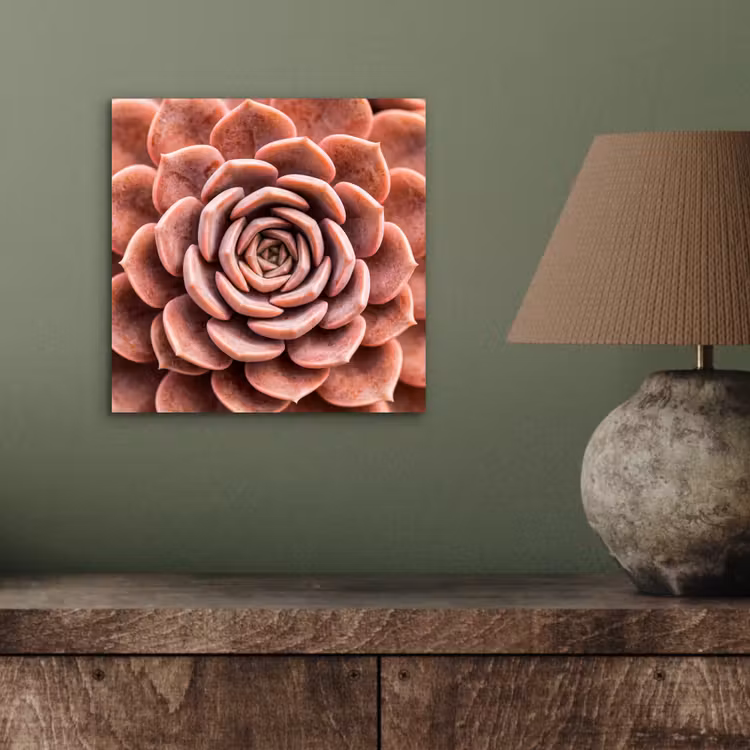 Vetplant - Organisch - Roze aluminium wit klein -sfeer2