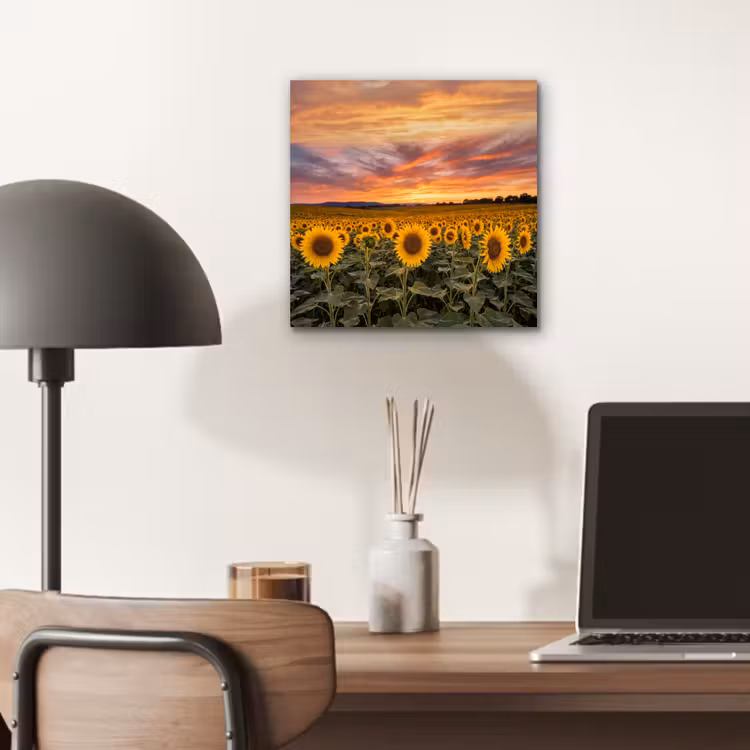 Zonnebloemen - Heuvellandschap - Geel aluminium wit klein -sfeer5