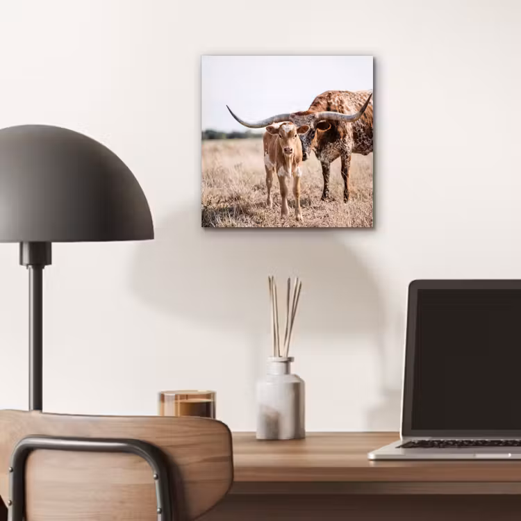 Texas Longhorn - Kalf - Weide - Dieren aluminium wit klein -sfeer5