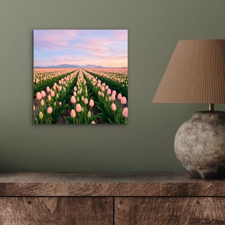 Tulpen - Landschap - Roze aluminium wit klein -sfeer2