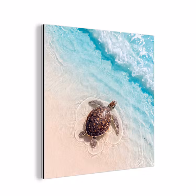 Schildpad - Helder water - Strand - Dieren - Natuur aluminium wit klein -3d