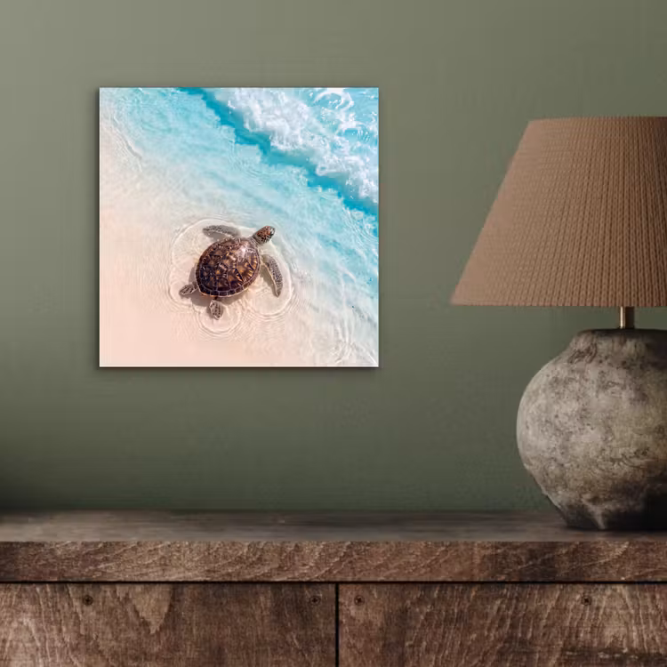 Schildpad - Helder water - Strand - Dieren - Natuur aluminium wit klein -sfeer2