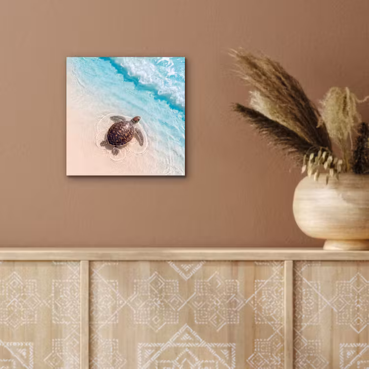 Schildpad - Helder water - Strand - Dieren - Natuur aluminium wit klein -sfeer4