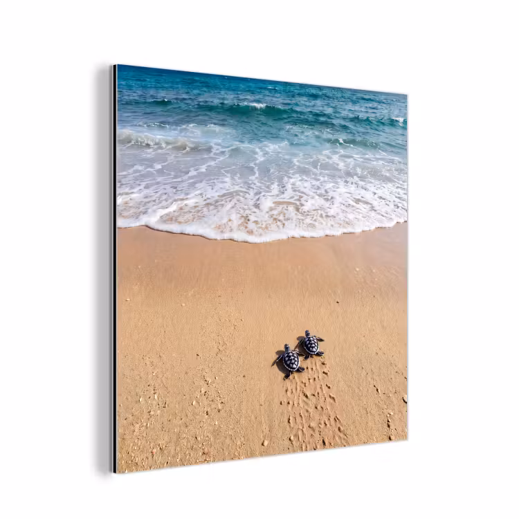 Schildpad - Jong - Strand - Oceaan - Blauw aluminium wit klein -3d