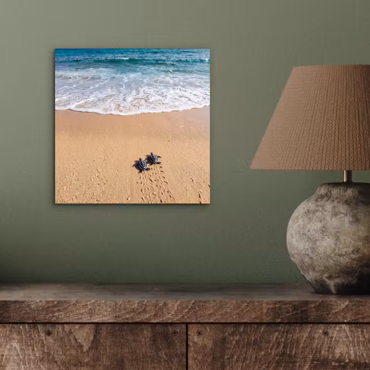 Schildpad - Jong - Strand - Oceaan - Blauw aluminium wit klein -sfeer2