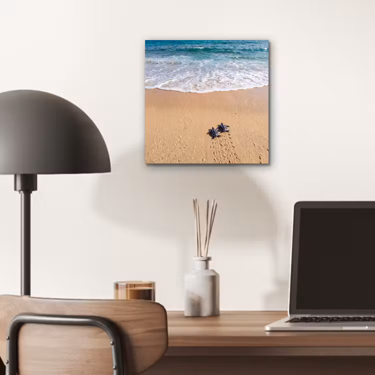 Schildpad - Jong - Strand - Oceaan - Blauw aluminium wit klein -sfeer5