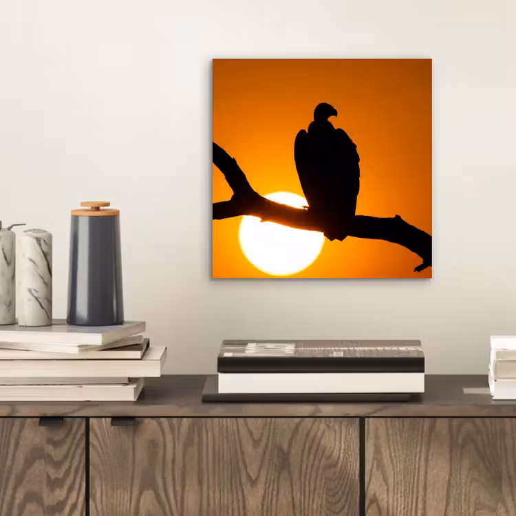 Gier - Tak - Zon - Oranje aluminium wit klein -sfeer1