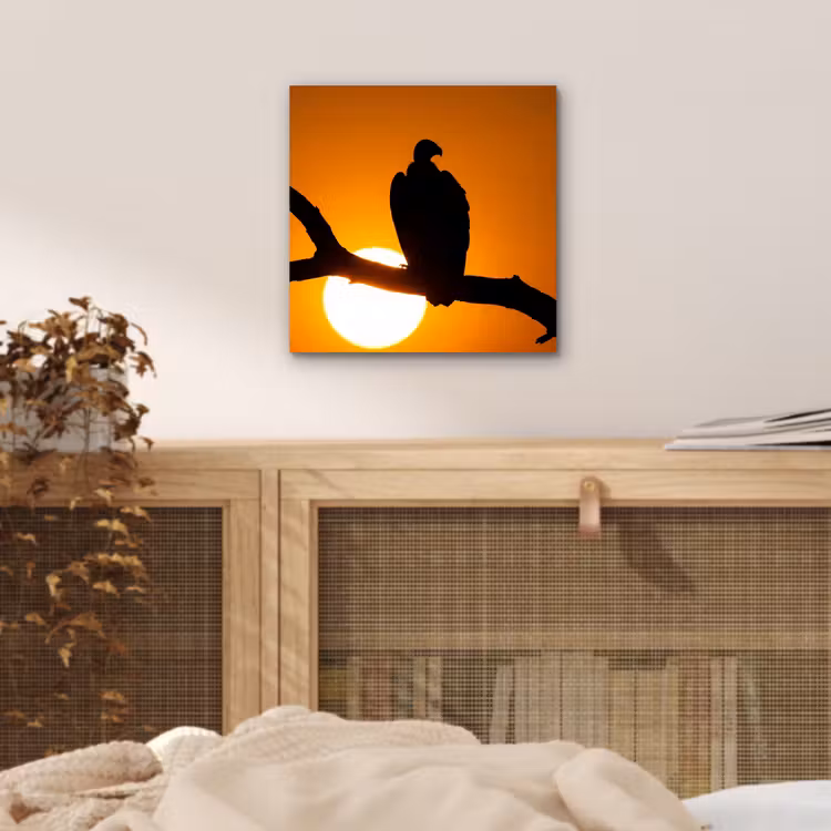 Gier - Tak - Zon - Oranje aluminium wit klein -sfeer3