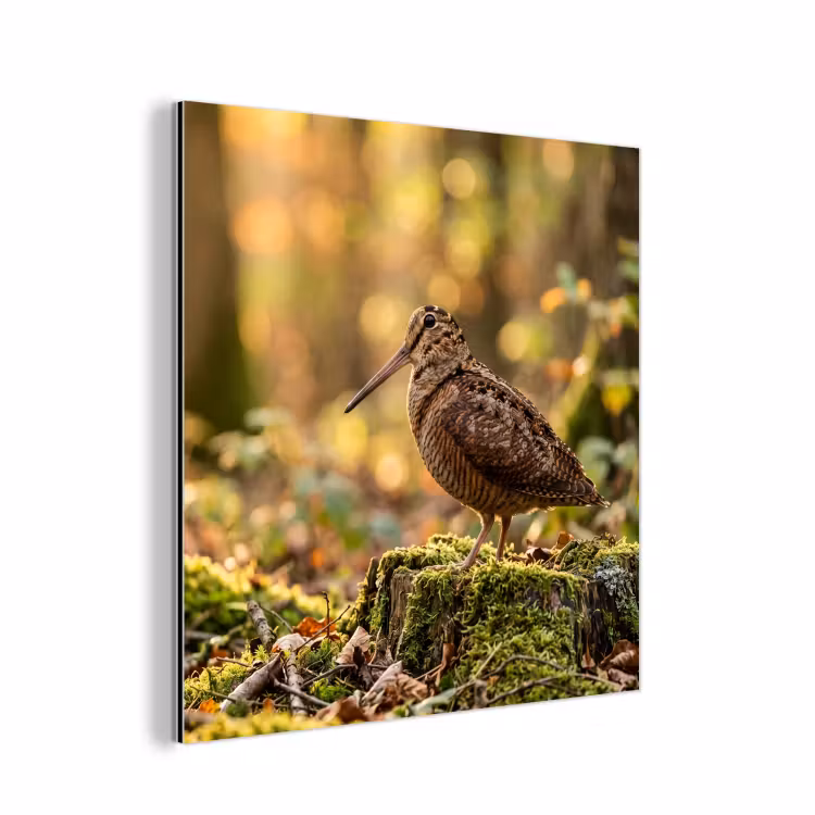 Houtsnip - Bos - Bladeren - Herfst - Gecamoufleerd aluminium wit klein -3d