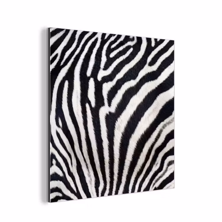 Zebra - Vacht - Klassiek - Zwart - Wit aluminium wit klein -3d