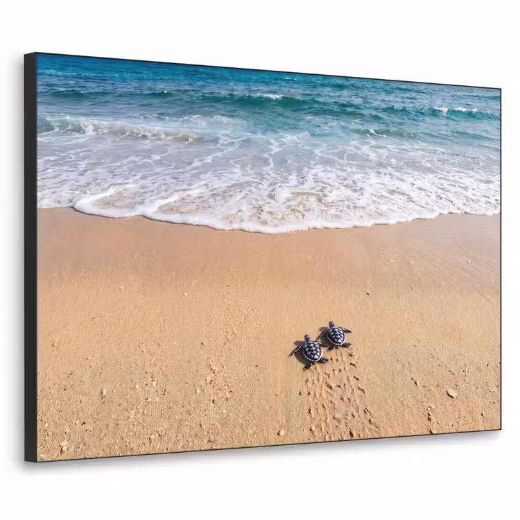 Schildpad - Jong - Strand - Oceaan - Blauw Textielframe zwart klein -3d