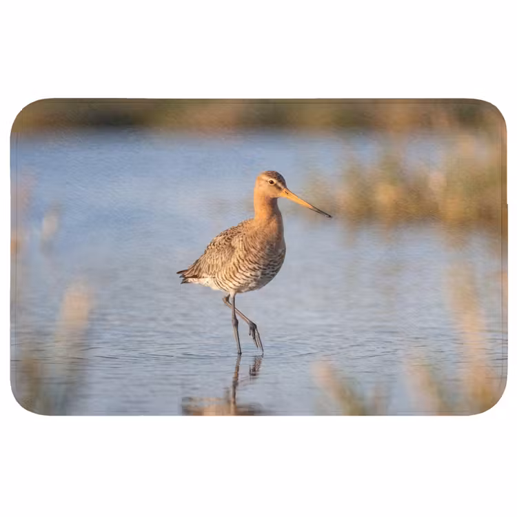 Vogel - Steltloper - Water - Natuur Badmat middel -3d